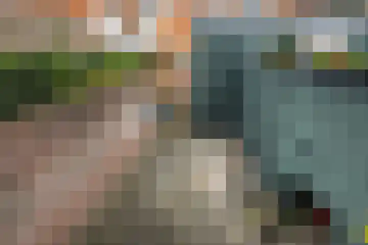 Wal 35 Tholen thumbnail 37