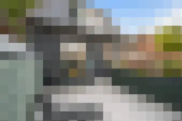 Wal 35 Tholen thumbnail 4