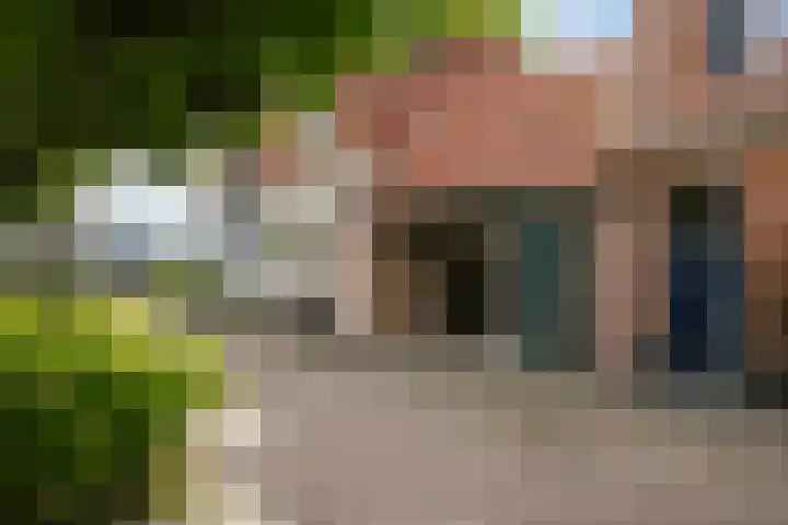 Wal 35 Tholen thumbnail 41