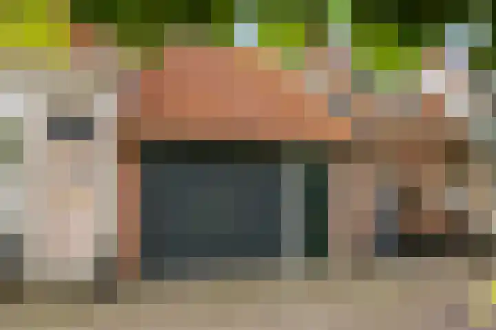 Wal 35 Tholen thumbnail 43