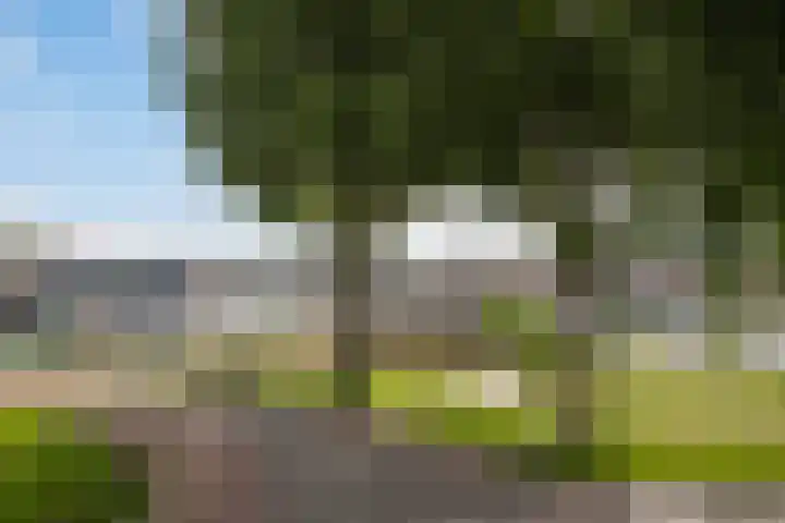 Wal 35 Tholen thumbnail 44