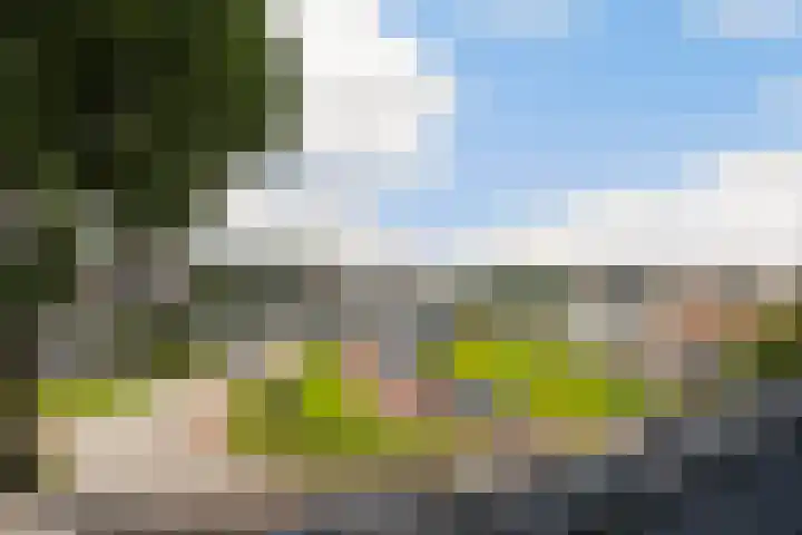 Wal 35 Tholen thumbnail 45