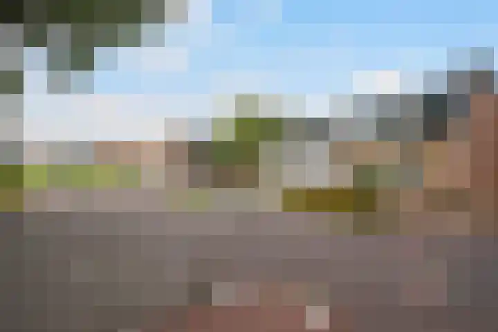 Wal 35 Tholen thumbnail 6