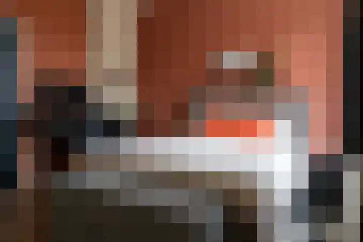 Wal 49 Schoonhoven thumbnail 22