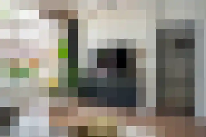 Wal 49 Schoonhoven thumbnail 30