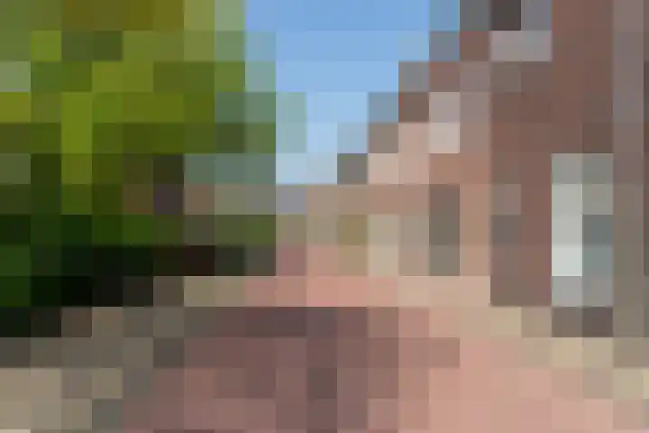 Wal 49 Schoonhoven thumbnail 39