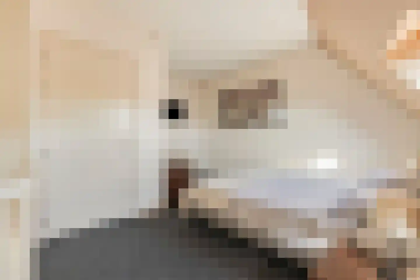 Wal 5 Arcen thumbnail 11