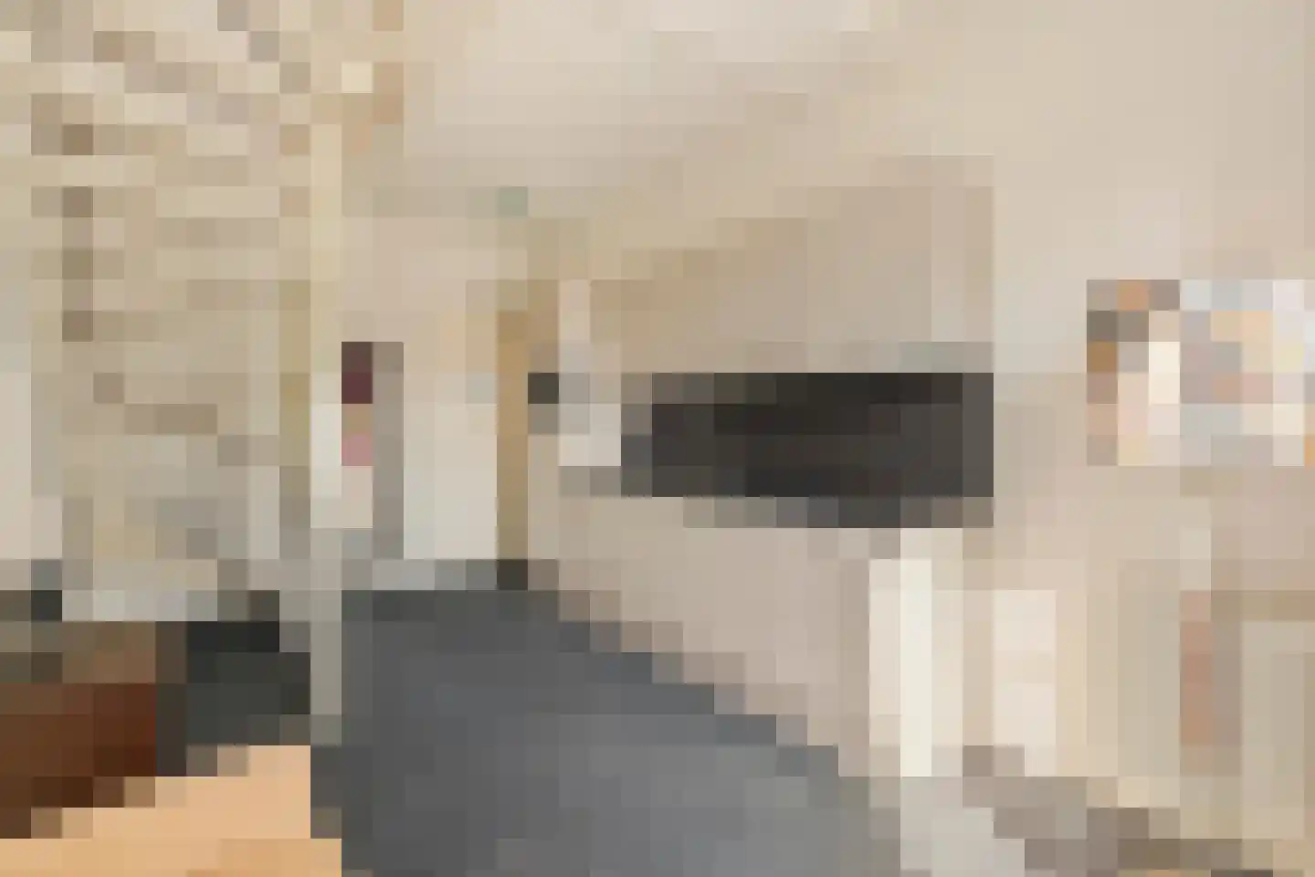 Wal 5 Arcen thumbnail 5