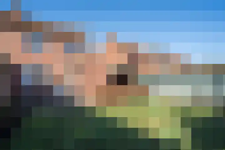 Wal 6 Arcen thumbnail 6