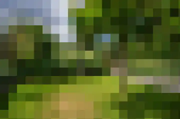 Wal 7 Thorn thumbnail 42