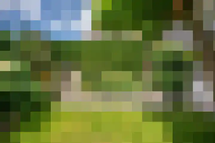 Wal 7 Thorn thumbnail 43