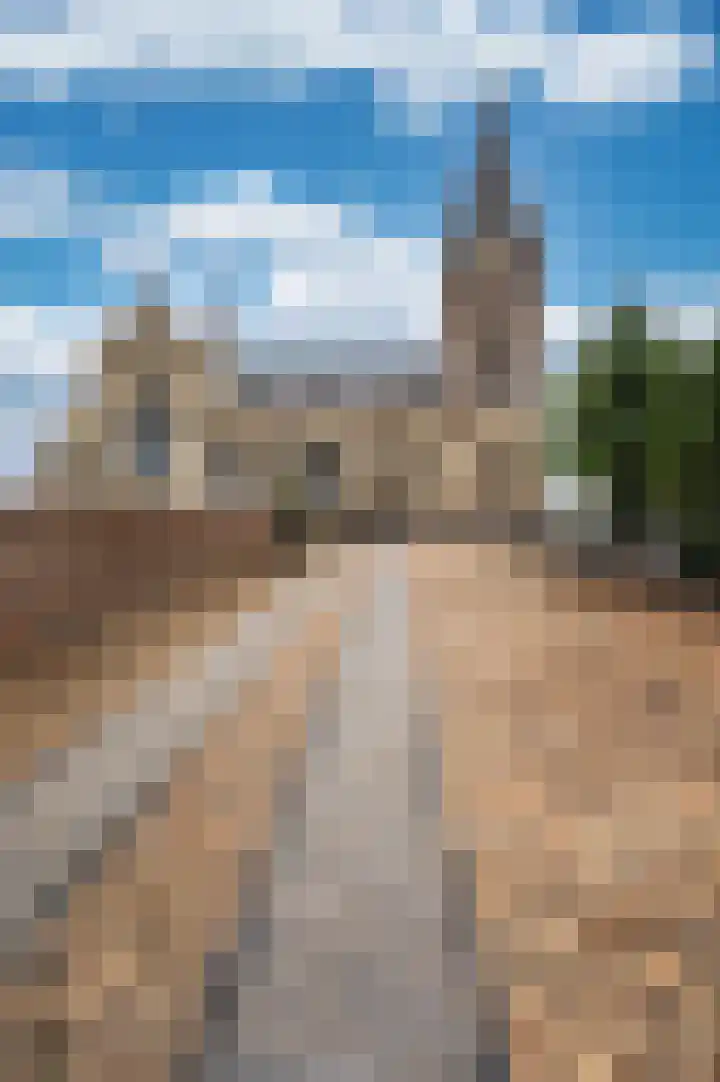 Wal 7 Thorn thumbnail 55
