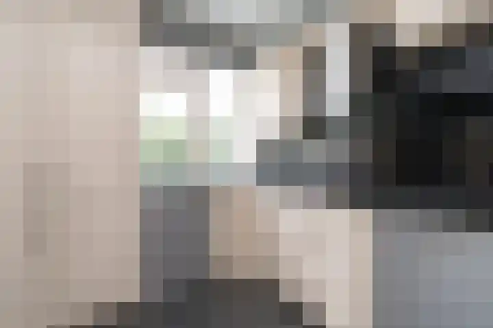 Wal 70 Veldhoven thumbnail 33