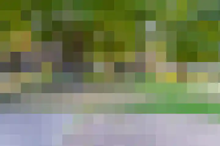 Wal 70 Veldhoven thumbnail 36