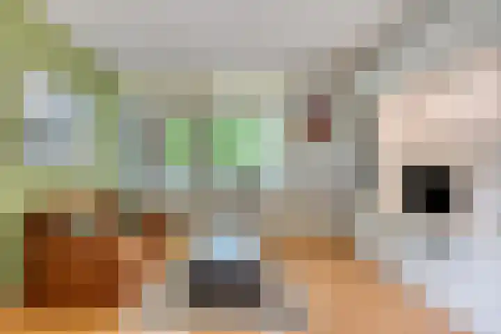 Wal 70 Veldhoven thumbnail 4