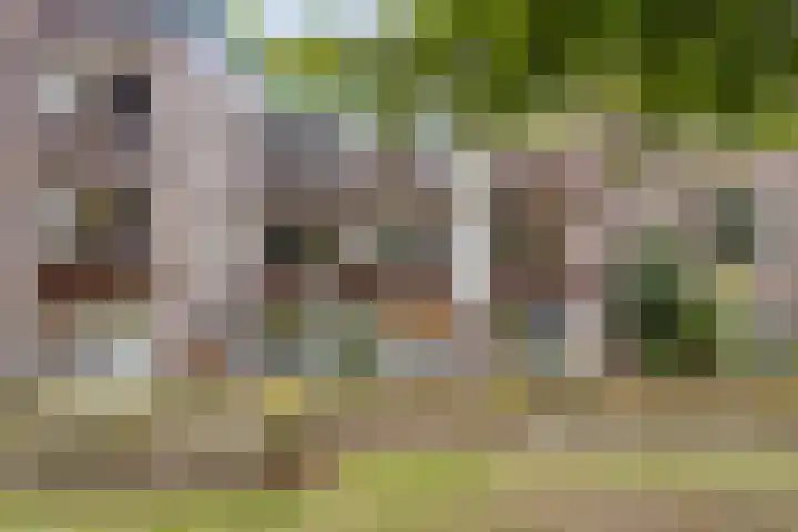 Wal 74 Veldhoven thumbnail 20