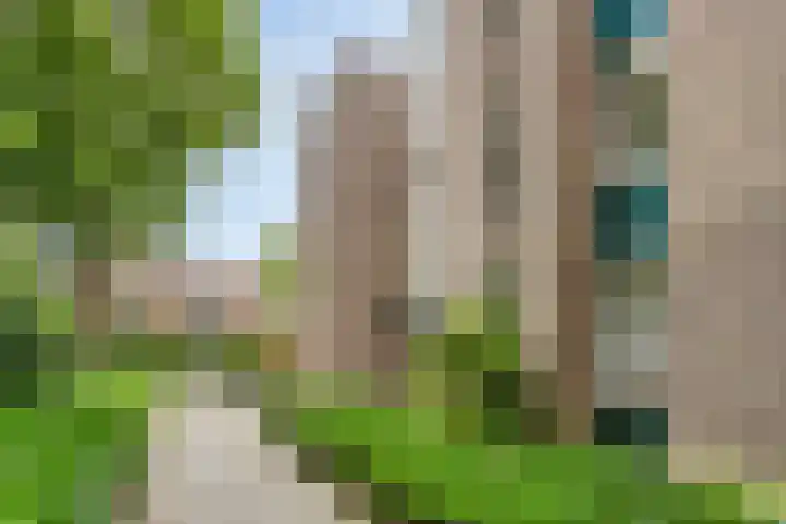 Wal 74 Veldhoven thumbnail 24