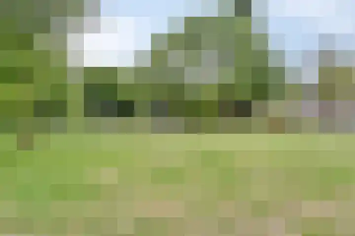 Wal 74 Veldhoven thumbnail 25