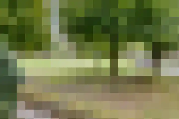 Wal 74 Veldhoven thumbnail 4