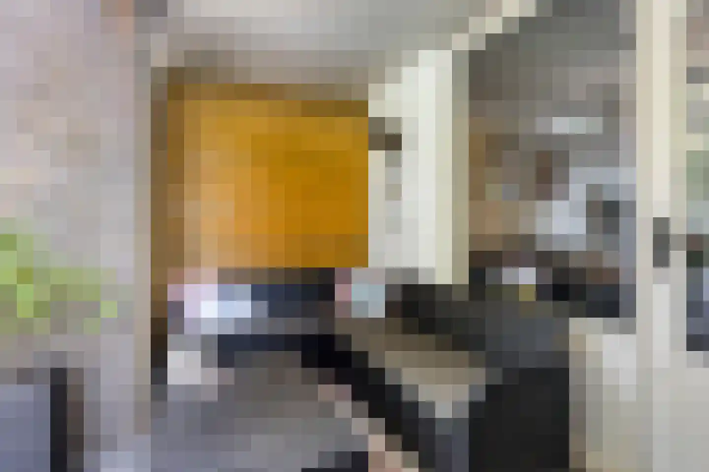 Wal 76 Veldhoven thumbnail 25