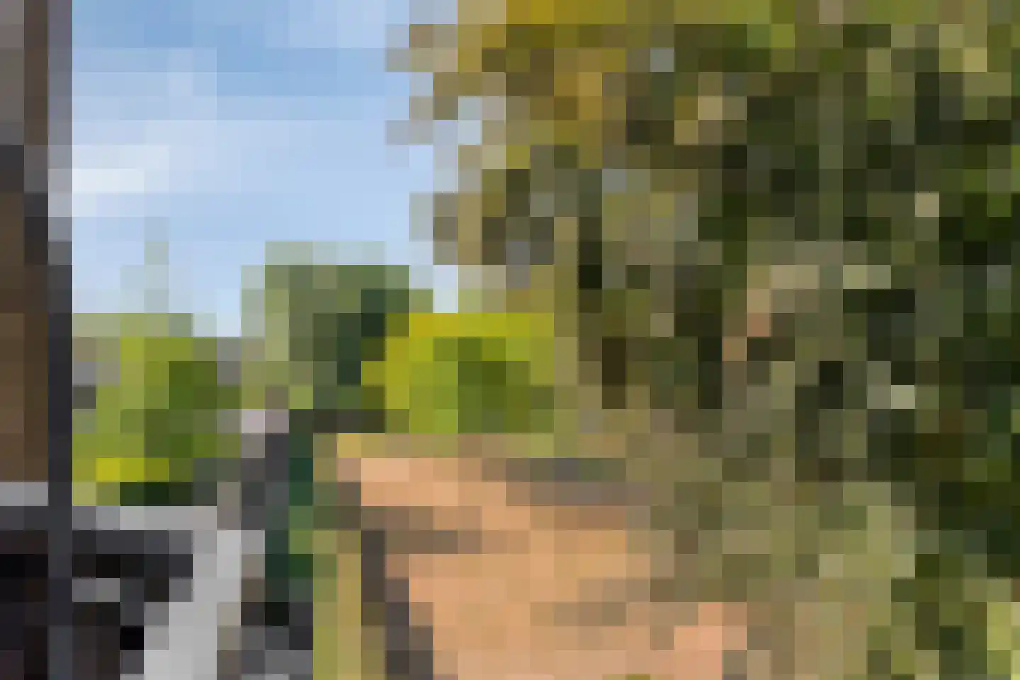 Wal 76 Veldhoven thumbnail 4