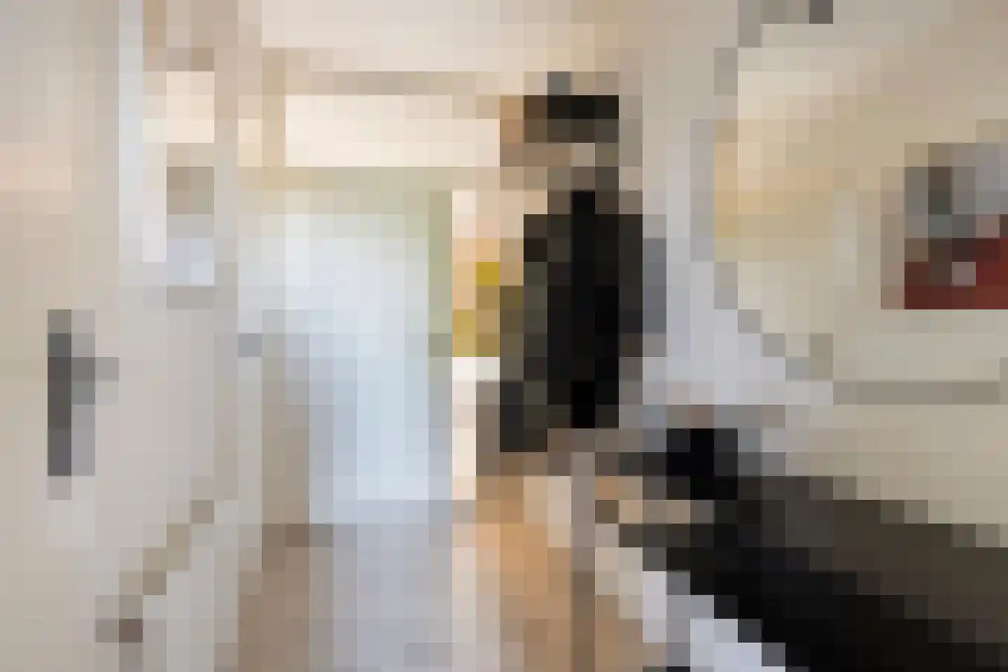 Wal 76 Veldhoven thumbnail 7
