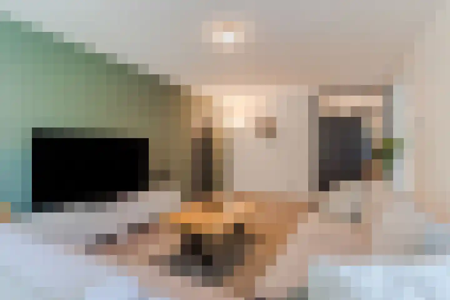 Wal 94 Veldhoven thumbnail 18