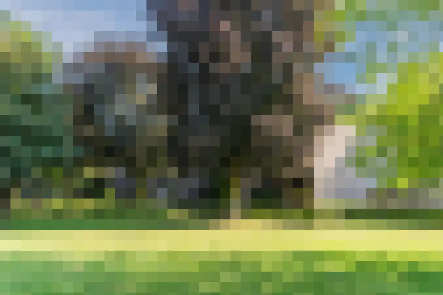Wal 94 Veldhoven thumbnail 46