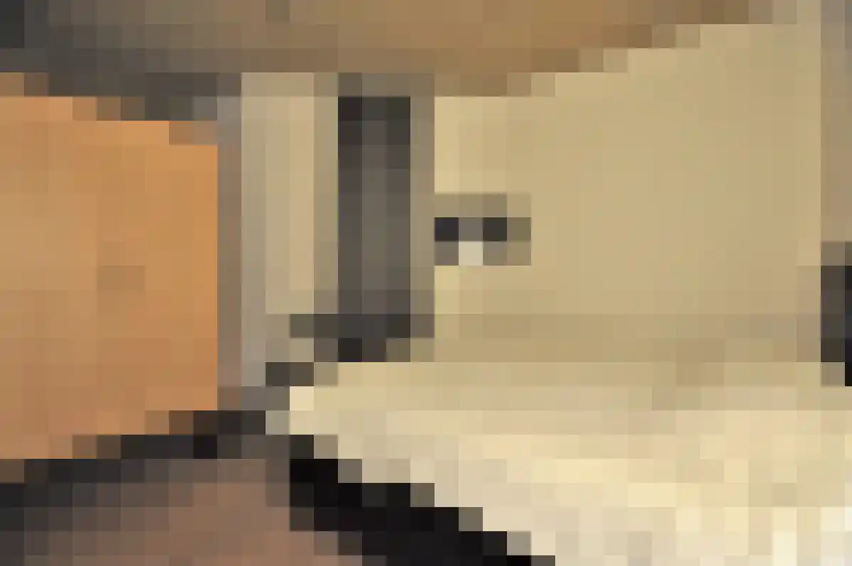 Wal Eindhoven thumbnail 5