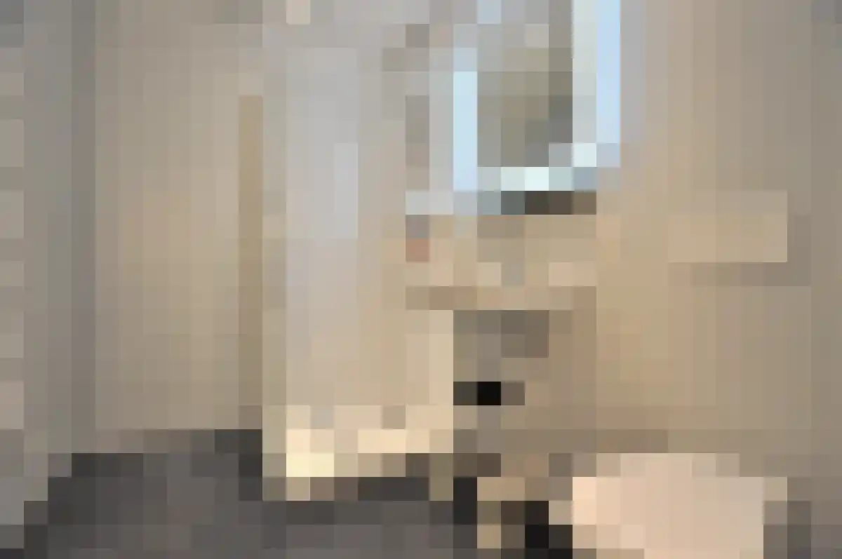 Wal Eindhoven thumbnail 6