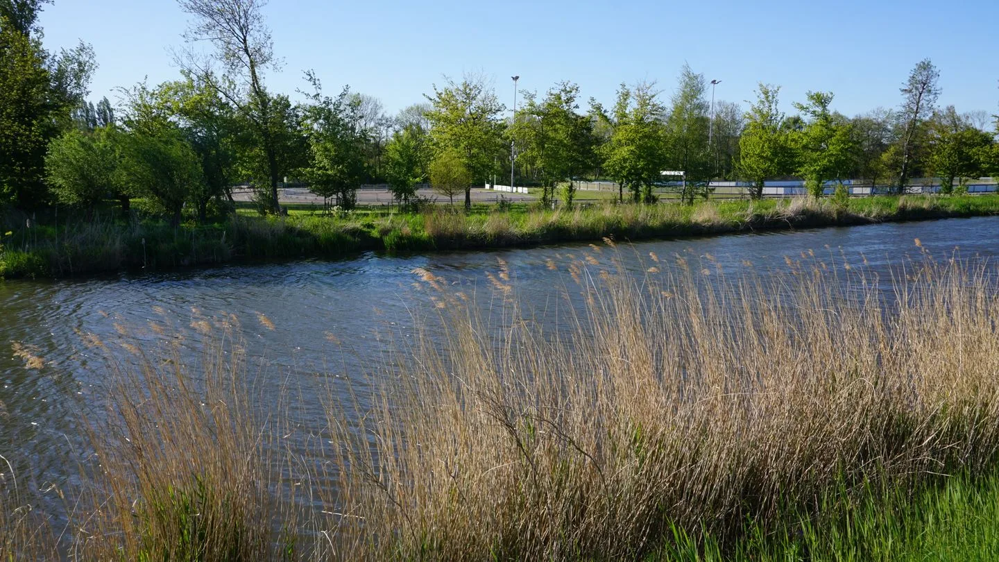 Walakker 105 Purmerend thumbnail 4
