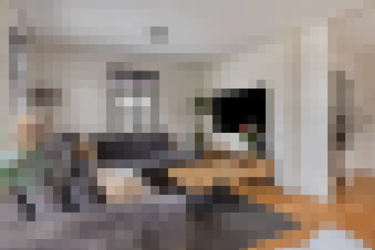 Walakker 11 Opperdoes thumbnail 12