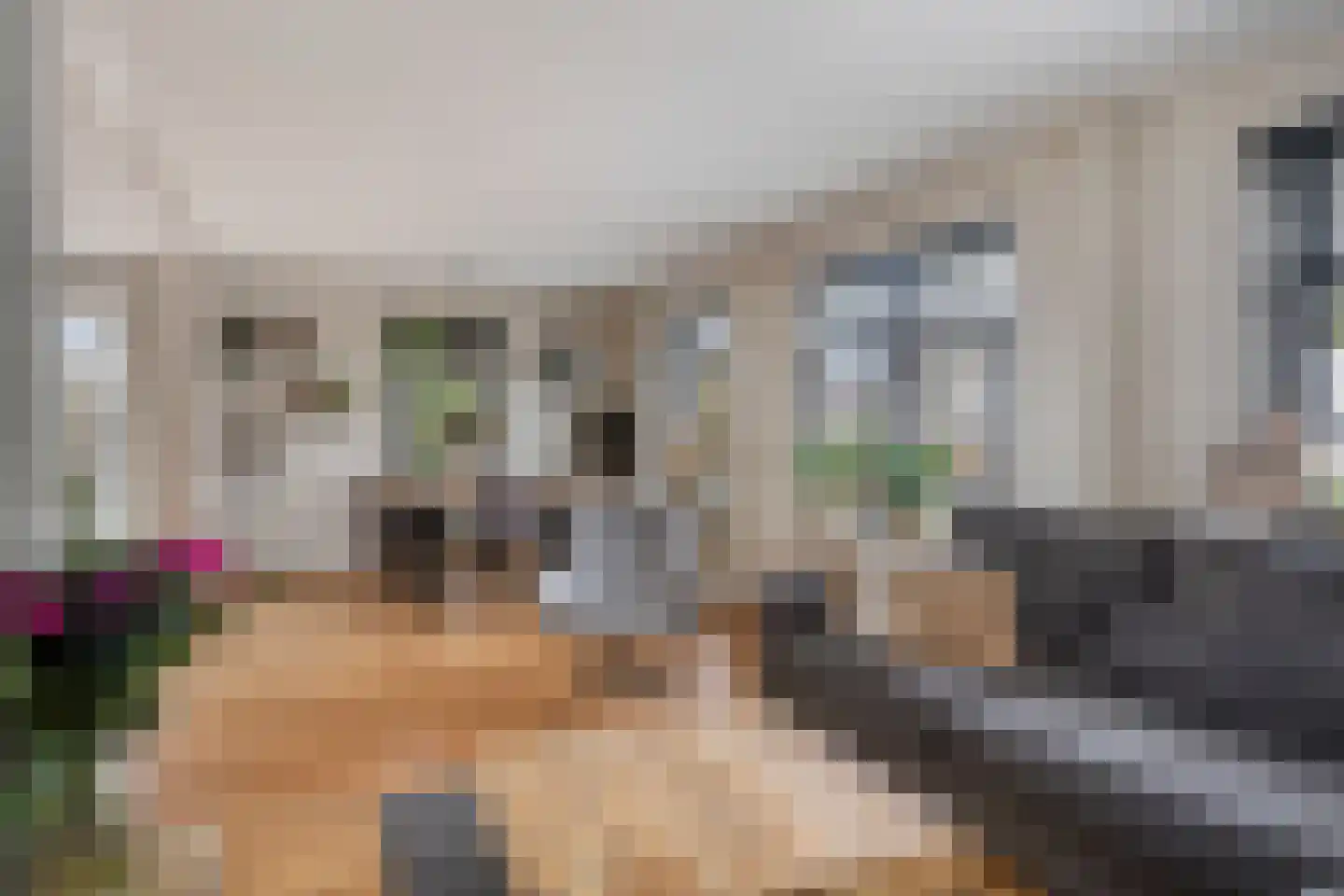 Walakker 11 Opperdoes thumbnail 13