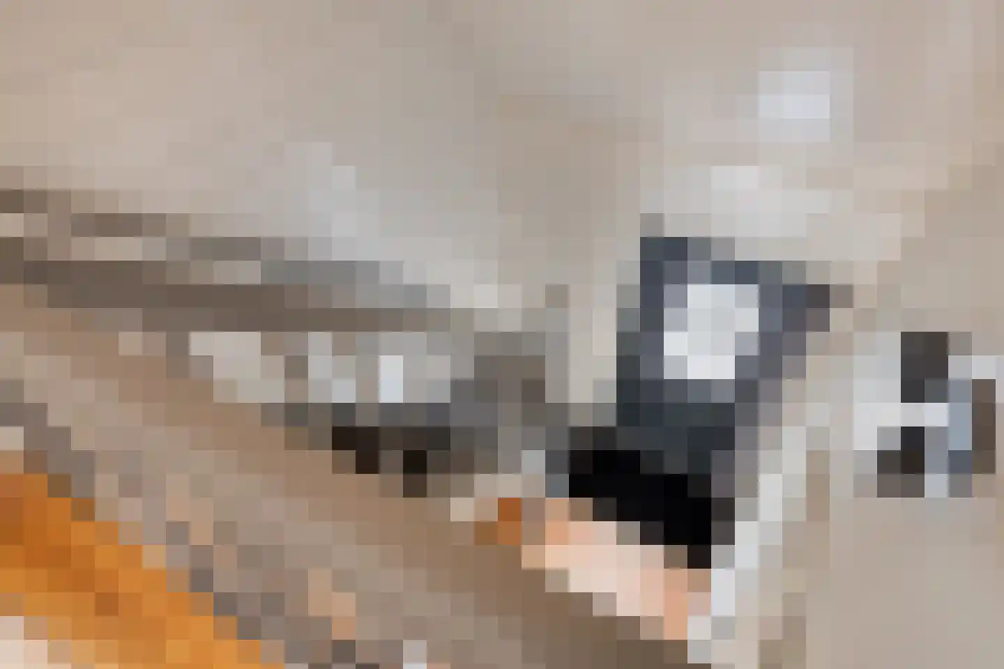 Walakker 11 Opperdoes thumbnail 25