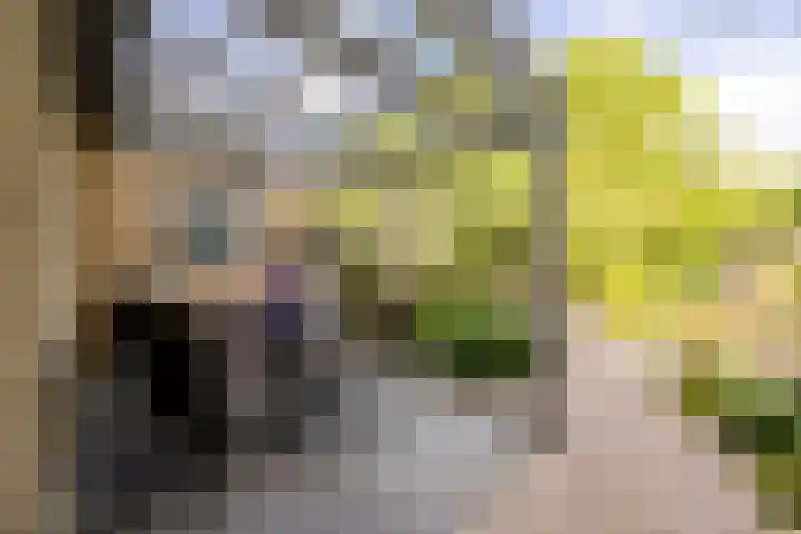 Walakker 59 Purmerend thumbnail 32