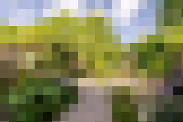 Walakker 59 Purmerend thumbnail 35