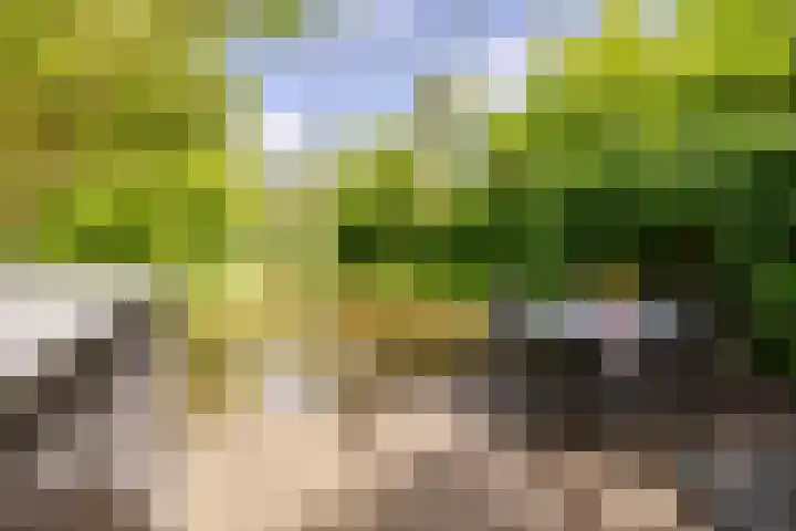 Walakker 59 Purmerend thumbnail 37