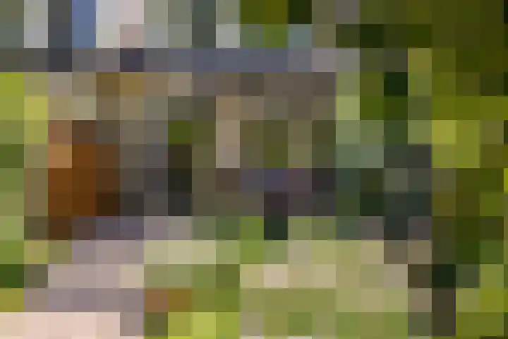 Walakker 59 Purmerend thumbnail 38