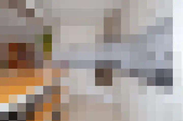 Walakker 8 Beilen thumbnail 11