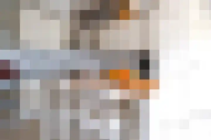 Walakker 8 Beilen thumbnail 15