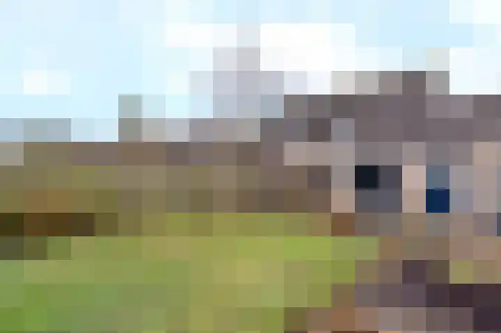 Walakker 8 Beilen thumbnail 31