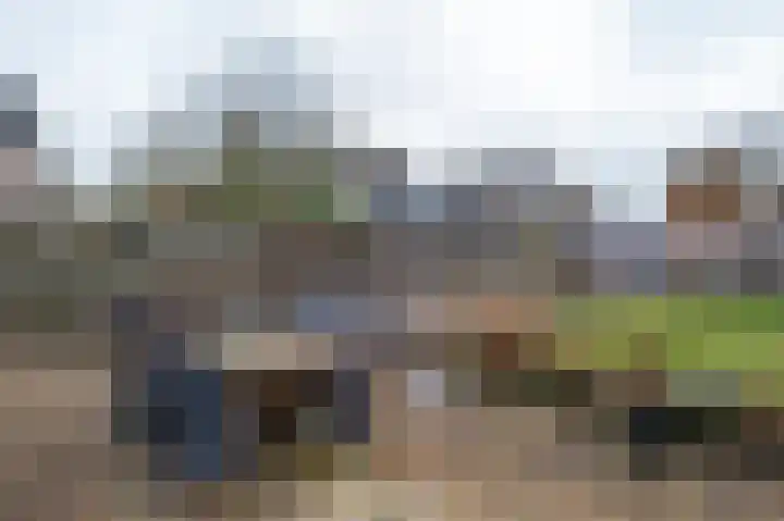 Walakker 8 Beilen thumbnail 32