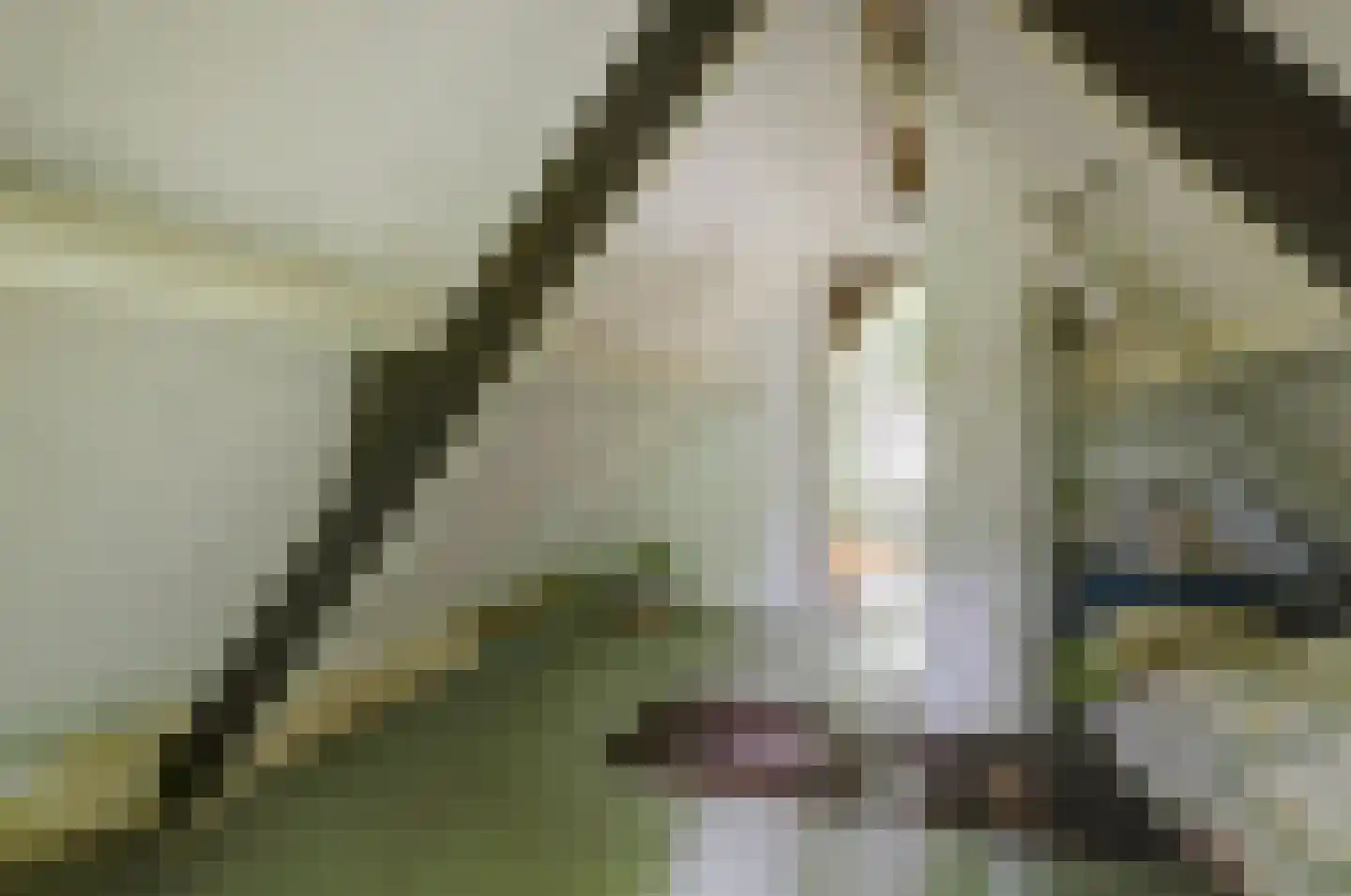 Walbeckerweg 16 Arcen thumbnail 19