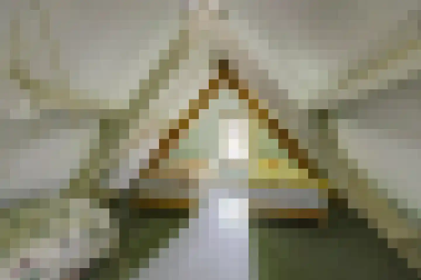 Walbeckerweg 16 Arcen thumbnail 20