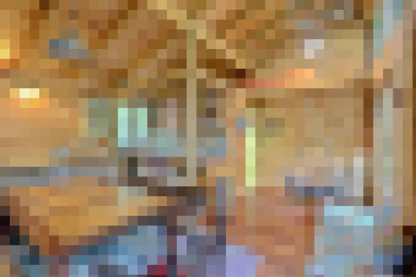 Walbeckerweg 16 Arcen thumbnail 23