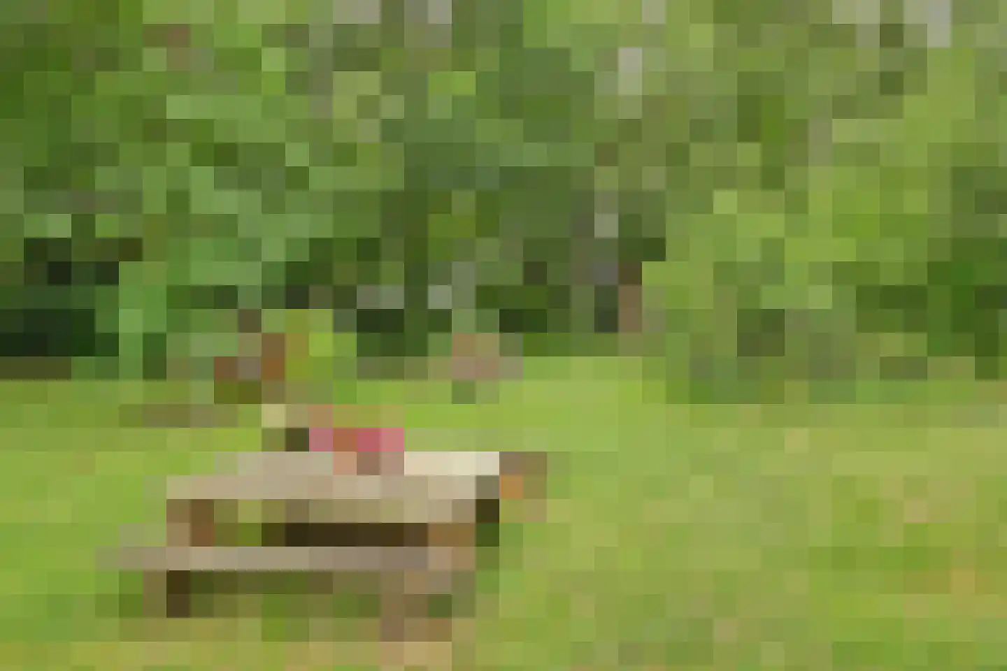 Walbeckerweg 16 Arcen thumbnail 30