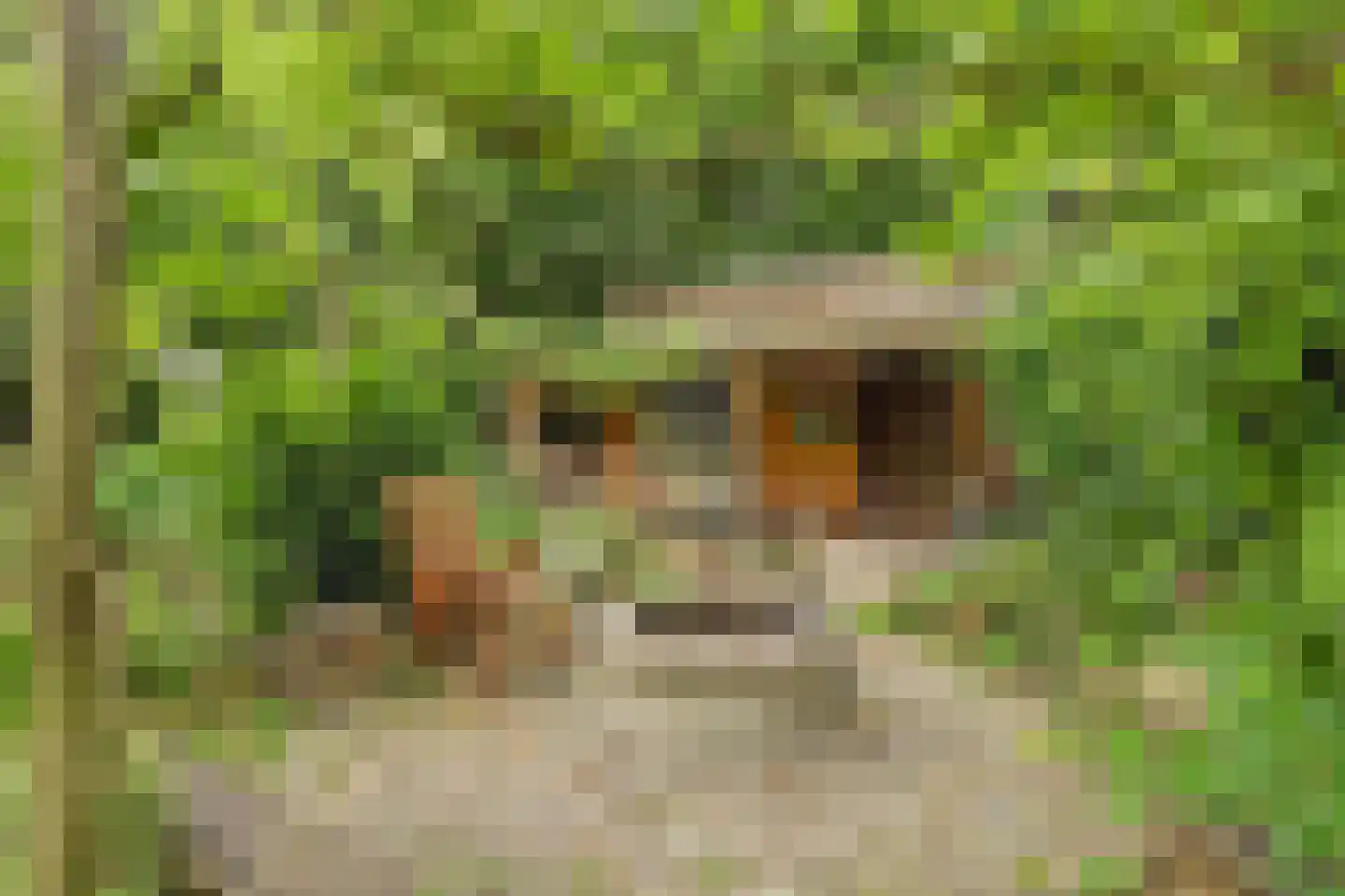 Walbeckerweg 16 Arcen thumbnail 33