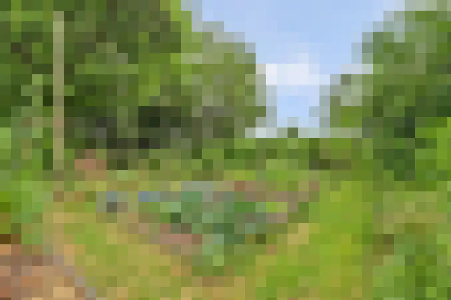 Walbeckerweg 16 Arcen thumbnail 35