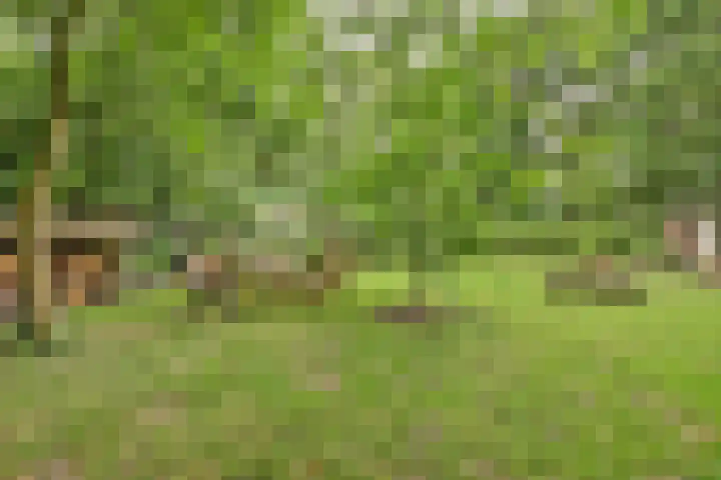 Walbeckerweg 16 Arcen thumbnail 37