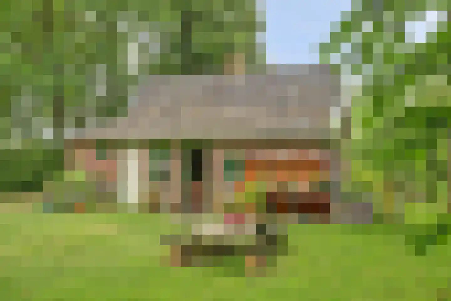 Walbeckerweg 16 Arcen thumbnail 38